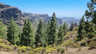 2023-04-GranCan-Roque_Nublo-028.jpg